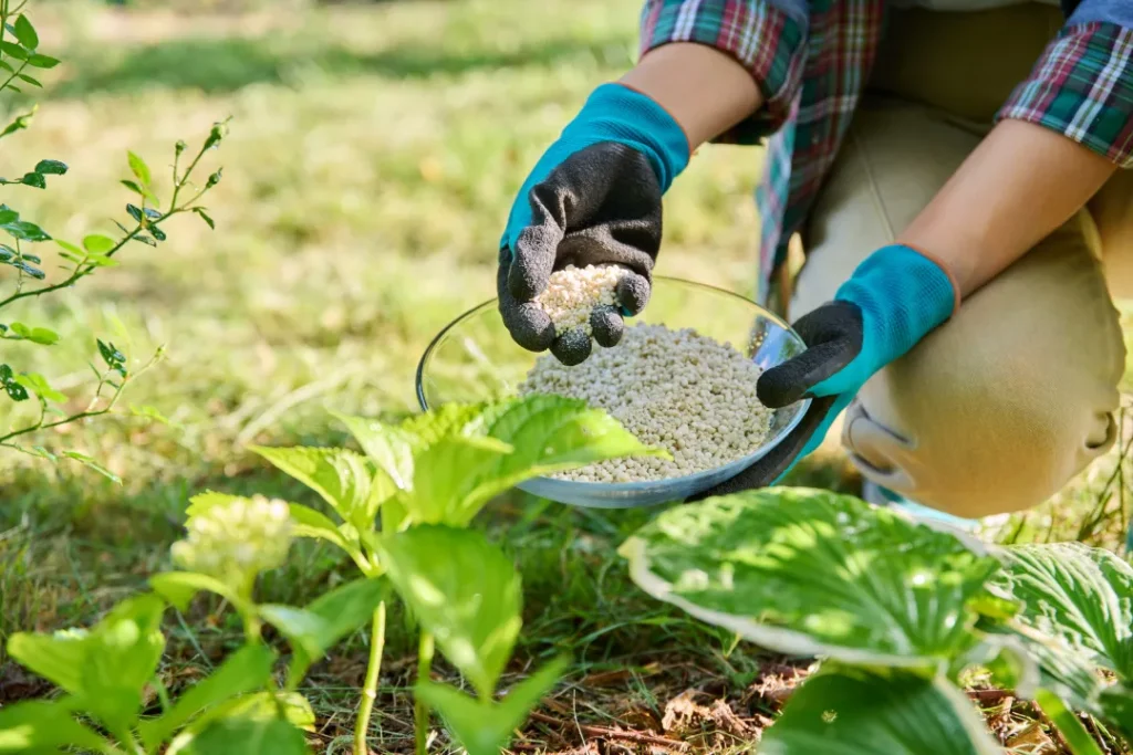 How Organic Fertilizers Enhance Crop Yield Without Harmful Chemicals Safely