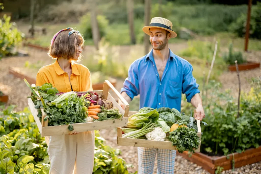 Best Organic Farming Tips For Beginners Starting Green Agricultural Journey