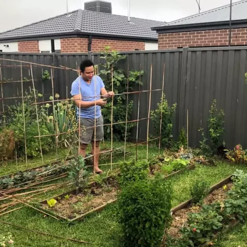 Common-Problems-with-Backyard-Gardening1