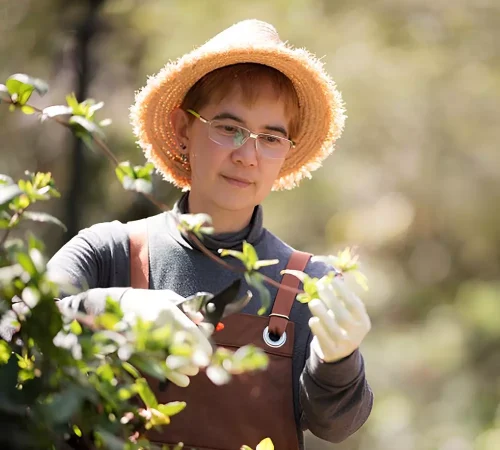 woman-on-nature-2023-11-27-05-36-38-utc