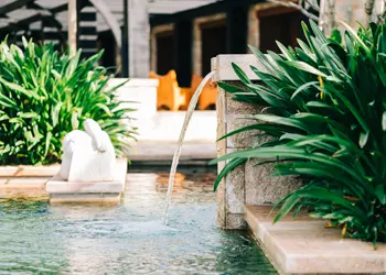 Learn About Exclusive Destinations, Activities, And Relaxation Ideas Here