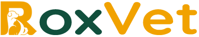 Logo - white-min