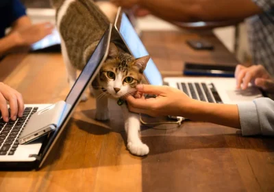 PetFriendlyWorkplace3